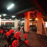 workout gyms near me